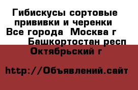Гибискусы сортовые, прививки и черенки - Все города, Москва г.  »    . Башкортостан респ.,Октябрьский г.